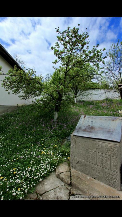 Bujtina Zhaveli Bed & Breakfast Gjakova Ngoại thất bức ảnh
